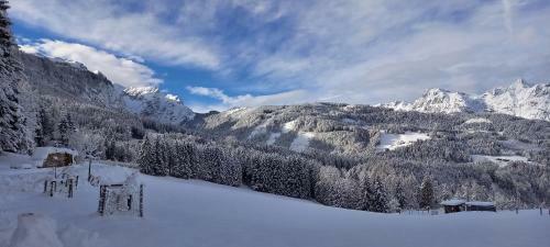 Apartamento Appartement Winteraugut