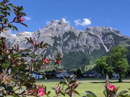Hostal Bio Bauernhof Vorderoberlehen