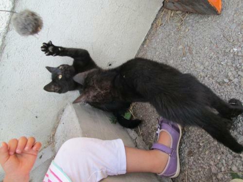 Hostal Bio Bauernhof Vorderoberlehen