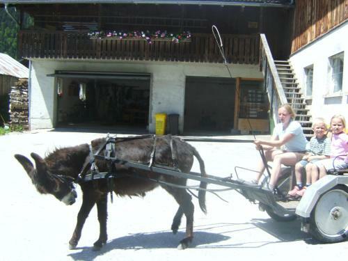 Hostal Bio Bauernhof Vorderoberlehen