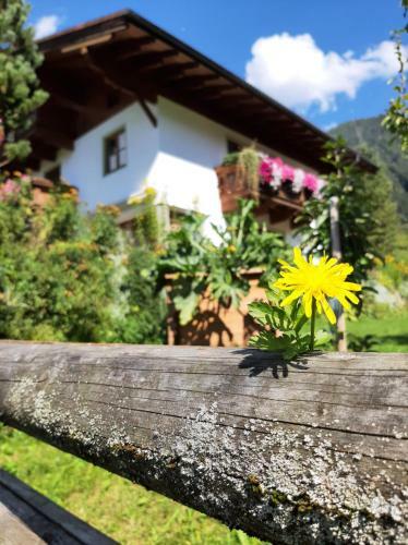 Apartamento Appartement Vierthaler