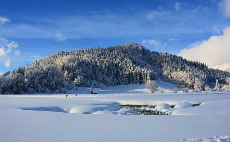 Hostal Villa Bischofsberg - L�rchen-wellness Apartment