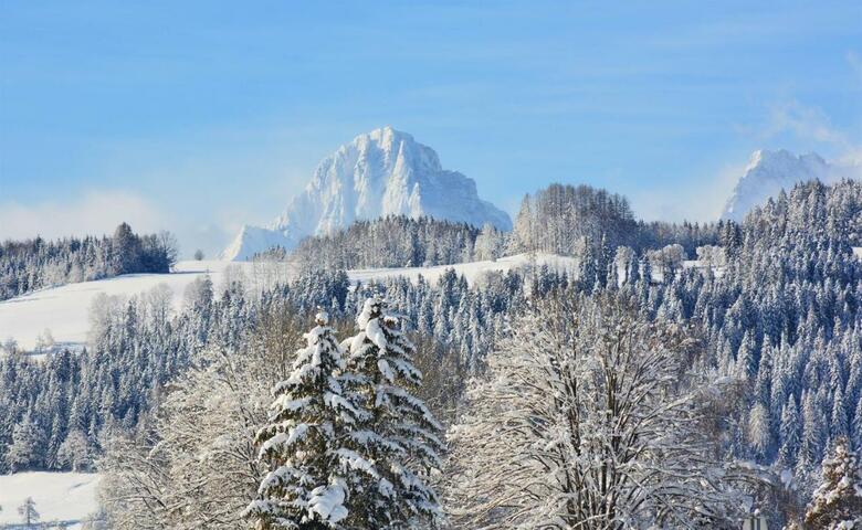 Hostal Villa Bischofsberg - L�rchen-wellness Apartment