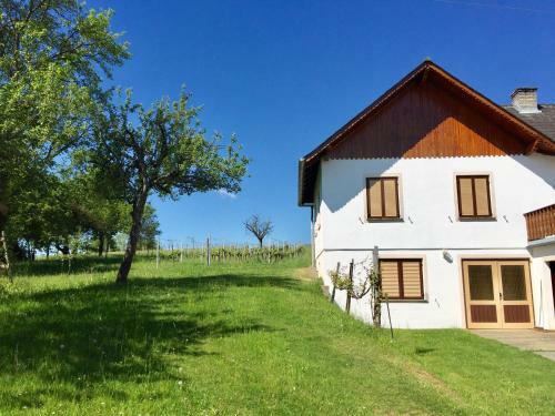Apartamento Urlaub Im Weingarten
