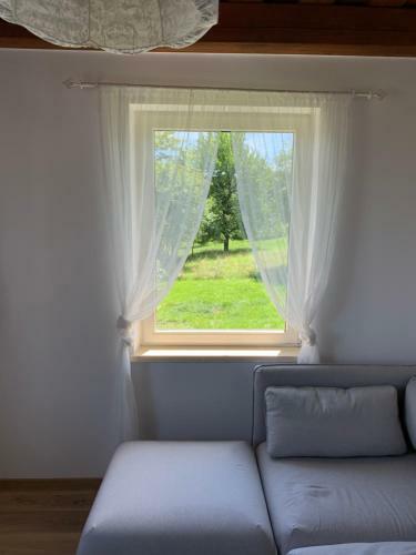 Apartamento Urlaub Im Weingarten