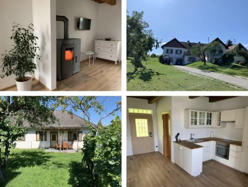 Apartamento Urlaub Im Weingarten