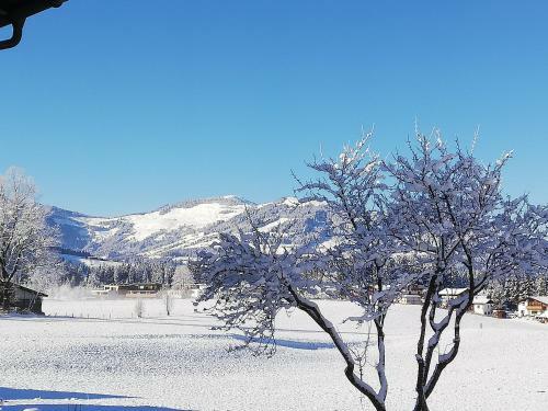 Apartamento Appartement Holaus