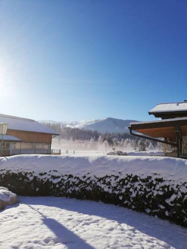 Apartamento Appartement Holaus