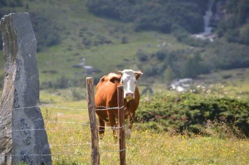 Agroturismo Oberrainbauer