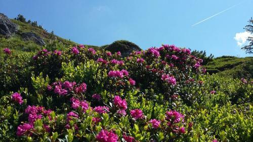 Hostal G�stehaus Kristall