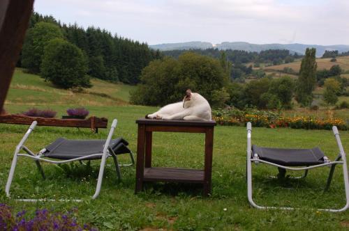 Bed & Breakfast Le Grand Trianon