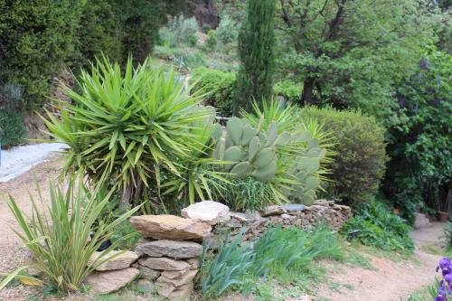 G�te Maison D'allouma