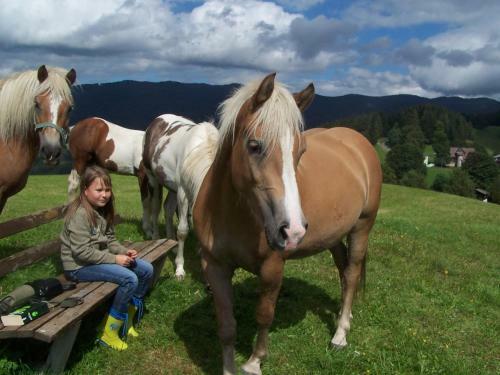 Ferienhaus L�rchenh�tte