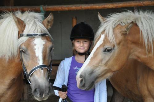 Ferienhaus L�rchenh�tte