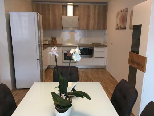 New Stylish Apartment