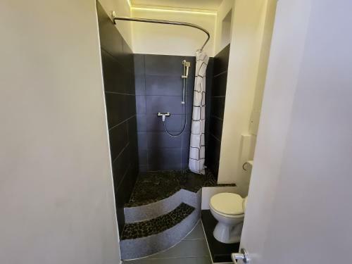 Apartamento Alina's