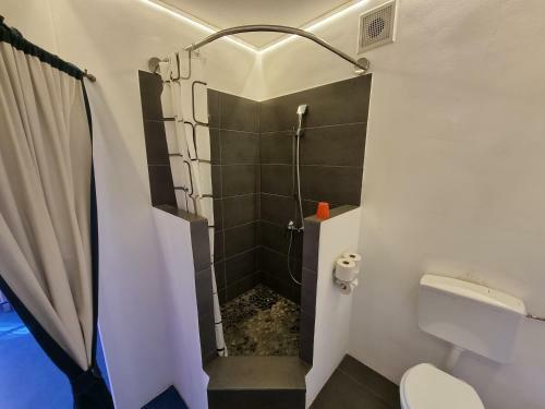 Apartamento Alina's