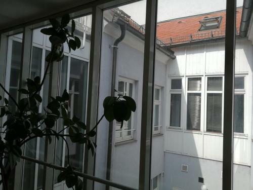 Apartamento Alina's