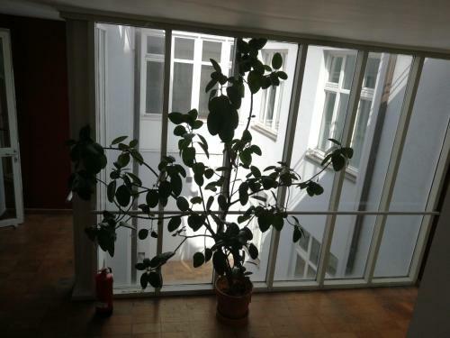 Apartamento Alina's