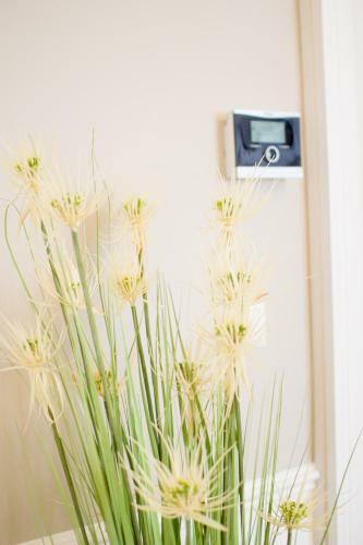 The Flats Apartments - Naschmarkt | Contactless Check-in