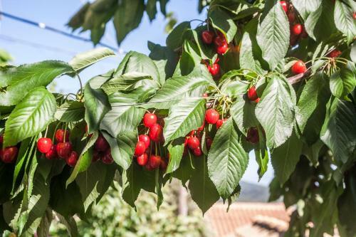 Apartamento Villa Ilias