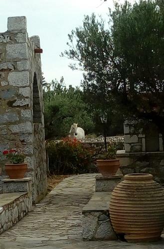 Apartamento Charouda Stone Tower