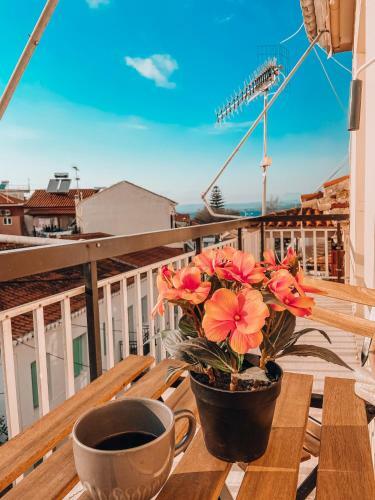Navarino Apartment