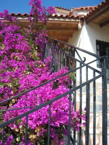 Gianna's Guesthouse