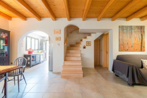 Agathis Home