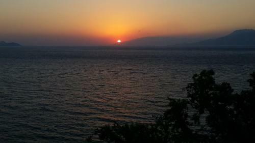 Hostal Olympias Studio