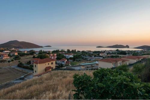 Platy Sea View Lxs