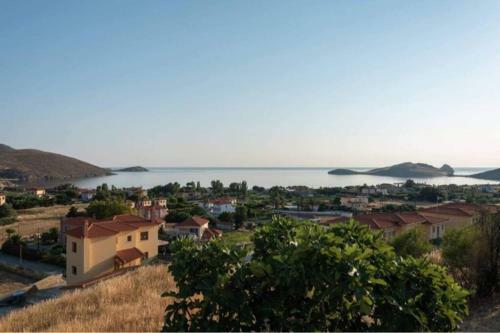 Platy Sea View Lxs