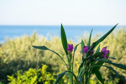 Apartamento Sosos 2 Bedroom House With Sea View