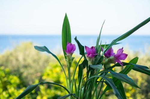 Apartamento Sosos 2 Bedroom House With Sea View