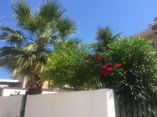 Villa The Olive Grove