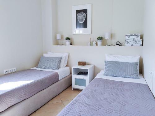 Comfy Apartment