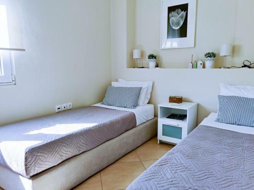 Comfy Apartment