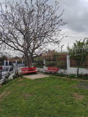 Apartamento Natura House