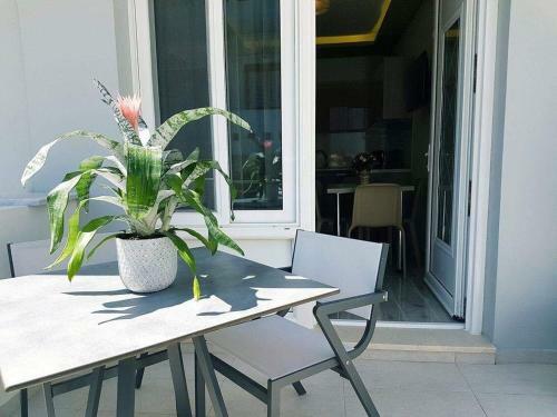 Luxury Apartments Near To The Beach