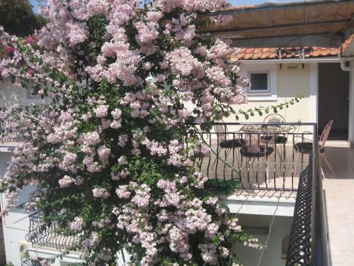 Hostal Marina Studios I
