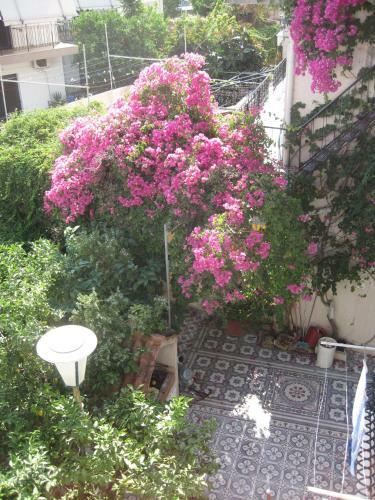 Hostal Marina Studios I