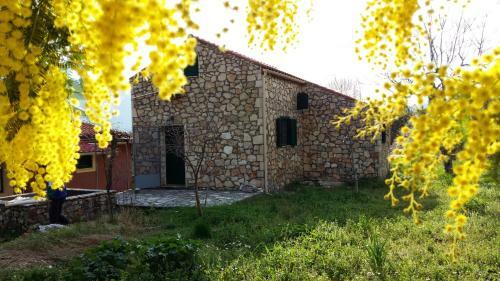 The Stone House-zacharatos Nikolaos