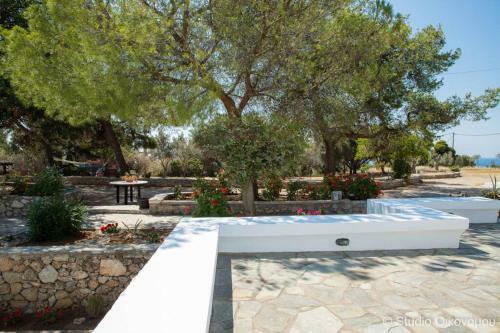 Apartamento Studio Gerani 2