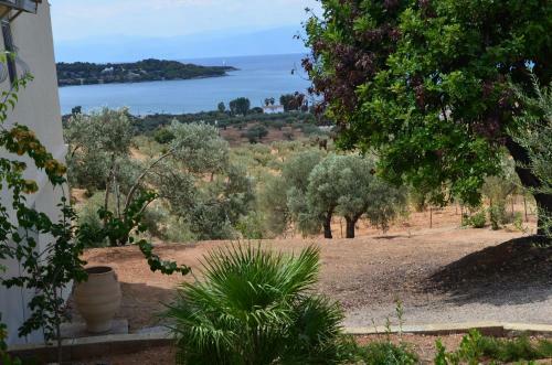 Melivia Villa