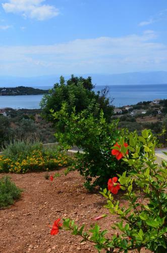 Melivia Villa