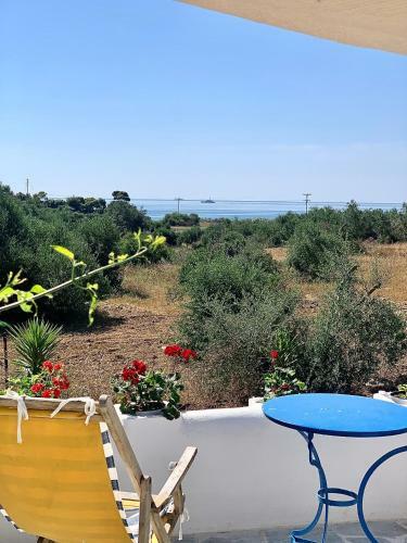 Summer House