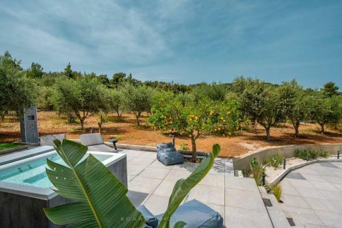 Orange Tree