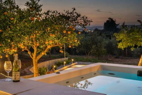 Orange Tree
