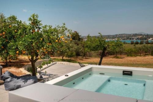 Orange Tree
