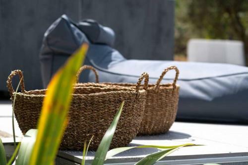 Orange Tree